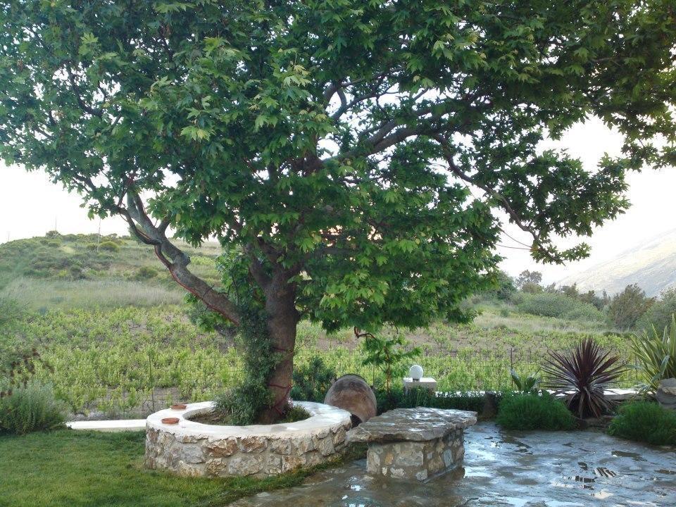 Elia Meronas Exterior photo