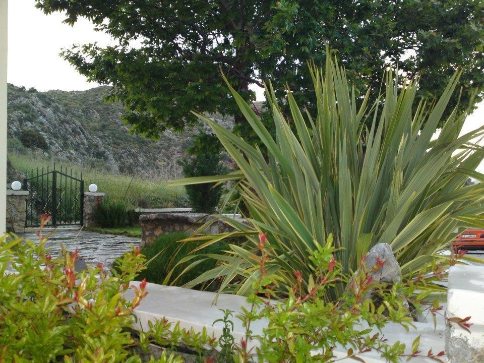 Elia Meronas Exterior photo